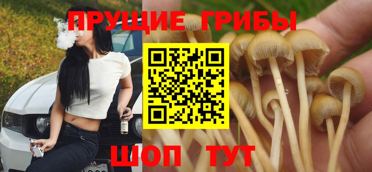 Галлюциногенные грибы Magic Shrooms  Вход с VPN  Псилоцибиновые грибы ЛСД  Карпинск 